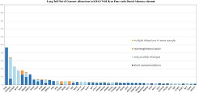 Genomic landscape of clinically advanced KRAS wild-type pancreatic ductal adenocarcinoma